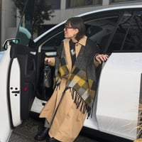 Black Cape With Checks Border