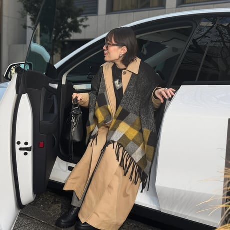 Black Cape With Checks Border