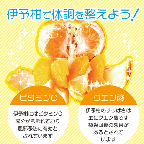みかん農家特製　伊予柑マーマレード