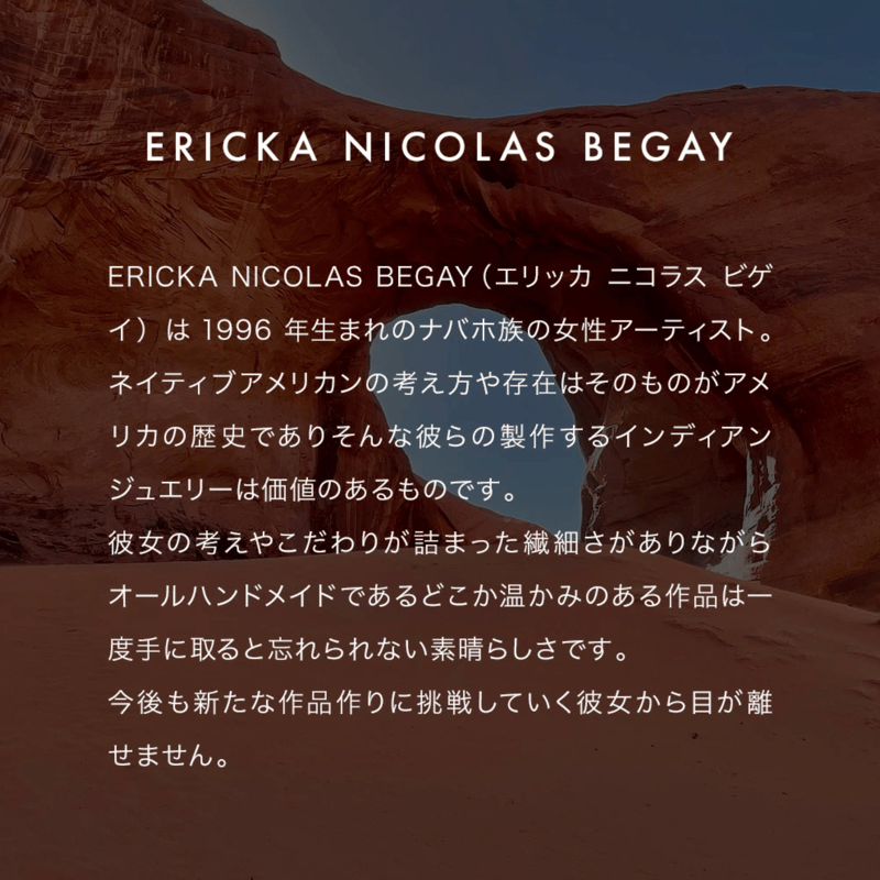 ERICKA NICOLAS BEGAY【25A ナバホ フラット プレーン バングル (Sサ