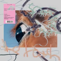 【LP】the hatch//「shape of raw to come」