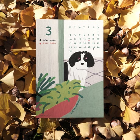 2025 Calendar "FOOTPRINT"