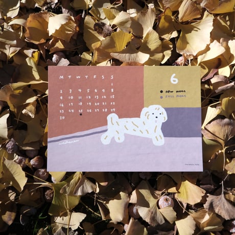 2025 Calendar "FOOTPRINT"