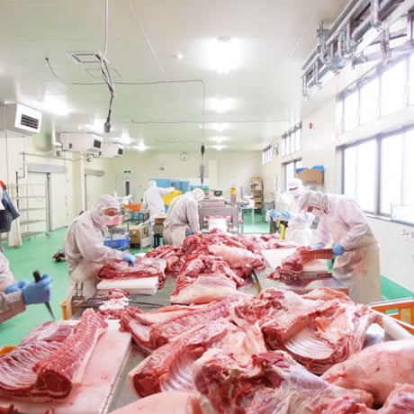 柴田畜産：秋田県横手市　「あっぷるとんのしゃぶしゃぶ肉」ロース肉＋バラ肉