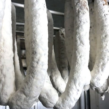 シャルキュティエ田嶋：佐賀県　　「生ハムスライス」30g×2パック+発酵生サラミ（白カビ・乳酸菌　各60g)クール便でのお届け