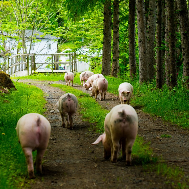 おおわに自然村：青森県 「あおもり生ハム」チビネロセット