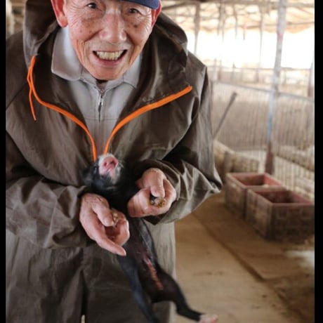 《不定貫商品のため ご予約をお願い致します》   Jambon de HIMEKI(ジャンボン・ド・ヒメキ）：長野県「信州黒豚 悠 パレタ（前足）」原木4Kg前後