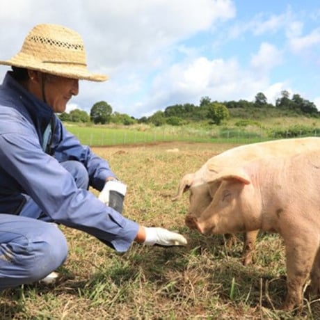 Ｊクラフト生ハムを共に育て応援して頂ける “Ｊクラフト生ハム サポート会員”のご登録