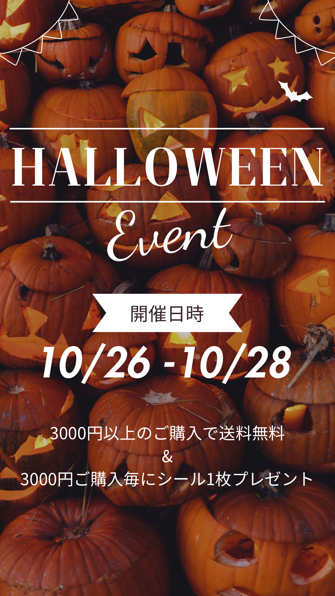 送料無料キャンペーン🩷