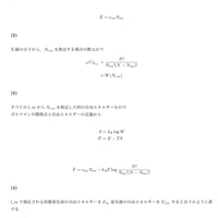 東大新領域物質専攻 院試解答 2019 第4問(統計力学)