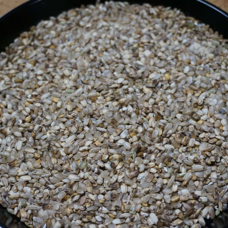 くず米/飼料用12kg（令和７年産 農薬不使用/自然栽培）