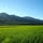 はらだ自然農園｜自然農法米・自然栽培米