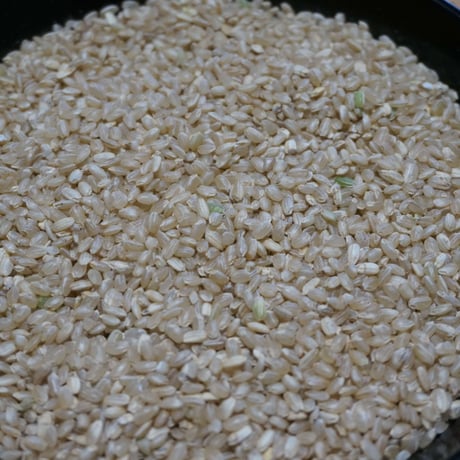 中米＜玄米10kg＞（令和７年産・無肥料自然栽培米 にこまる）