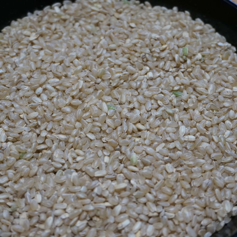 中米<玄米10kg>(令和6年産・無農薬栽培<自然農法/自然栽培 中米<玄米10kg>(令和6年産・無農薬栽培<自然農法/自然栽培