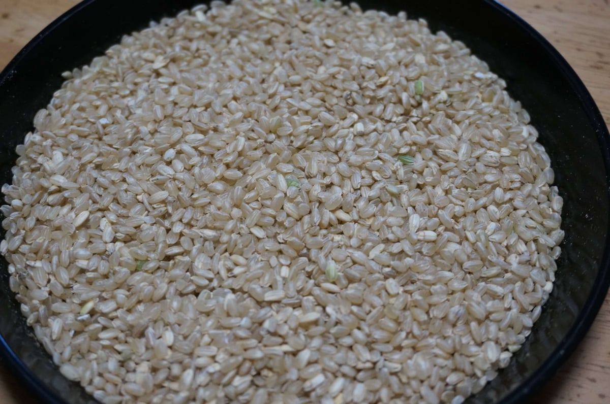 中米<玄米10kg>(令和6年産・無農薬栽培<自然農法/自然栽培 中米<玄米10kg>(令和6年産・無農薬栽培<自然農法/自然栽培