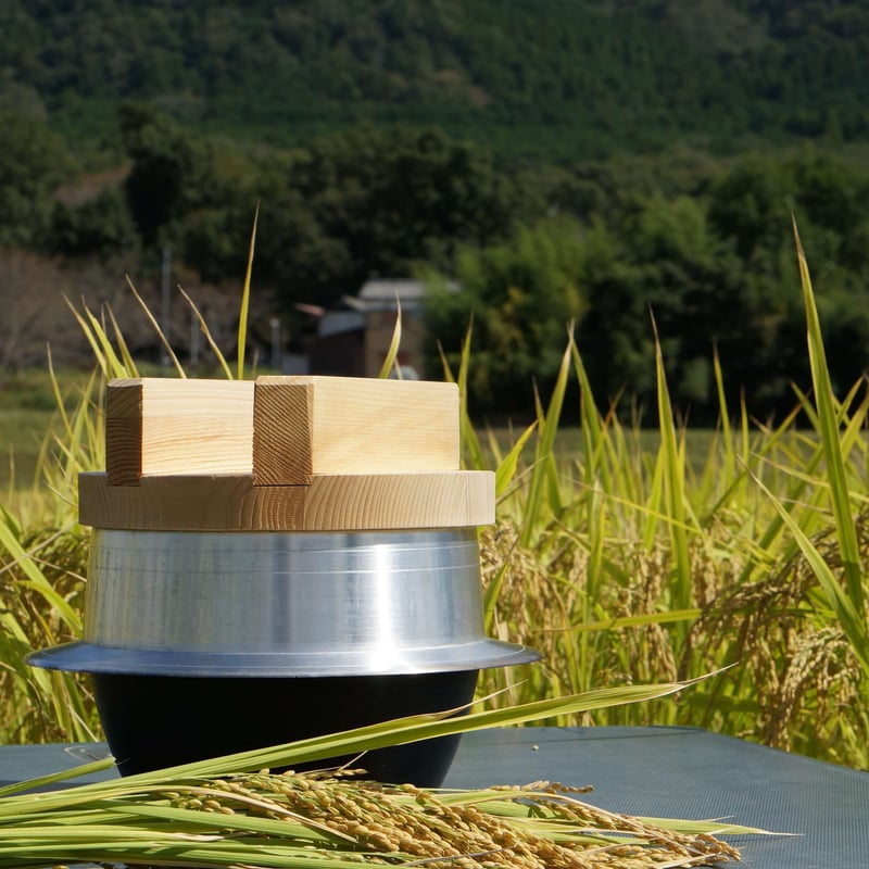 五分つき10kg（令和7年産・無肥料自然栽培米 ヒノヒカリ） | はらだ