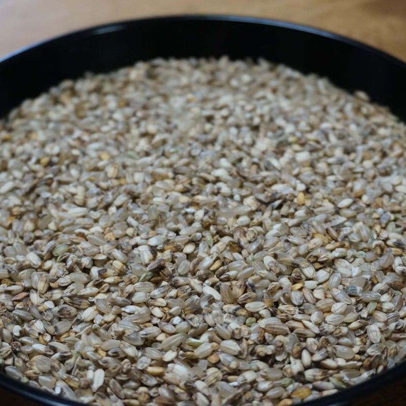 くず米/飼料用24kg(令和6年産 農薬不使用/自然農法・自然栽培 くず米/飼料用24kg(令和6年産 農薬不使用/自然農法・自然栽培