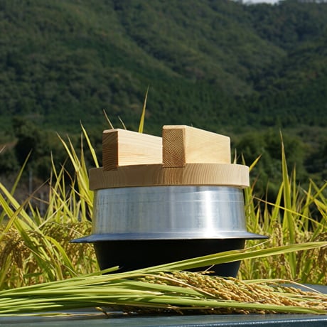 玄米8kg（令和7年産/古米・無肥料自然栽培米 にこまる）