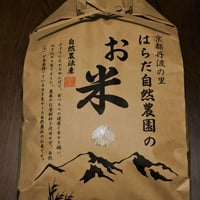 七分つき5kg（令和7年産・無肥料自然栽培米 ヒノヒカリ） | はらだ