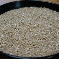 中米＜玄米10kg＞（令和7年産・無肥料自然栽培米 にこまる） | はらだ