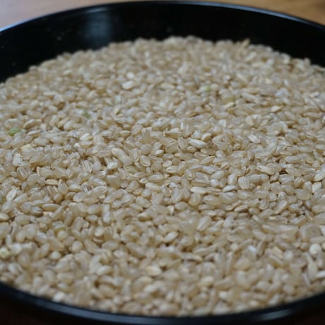 中米＜玄米10kg＞（令和７年産・無肥料自然栽培米 にこまる）