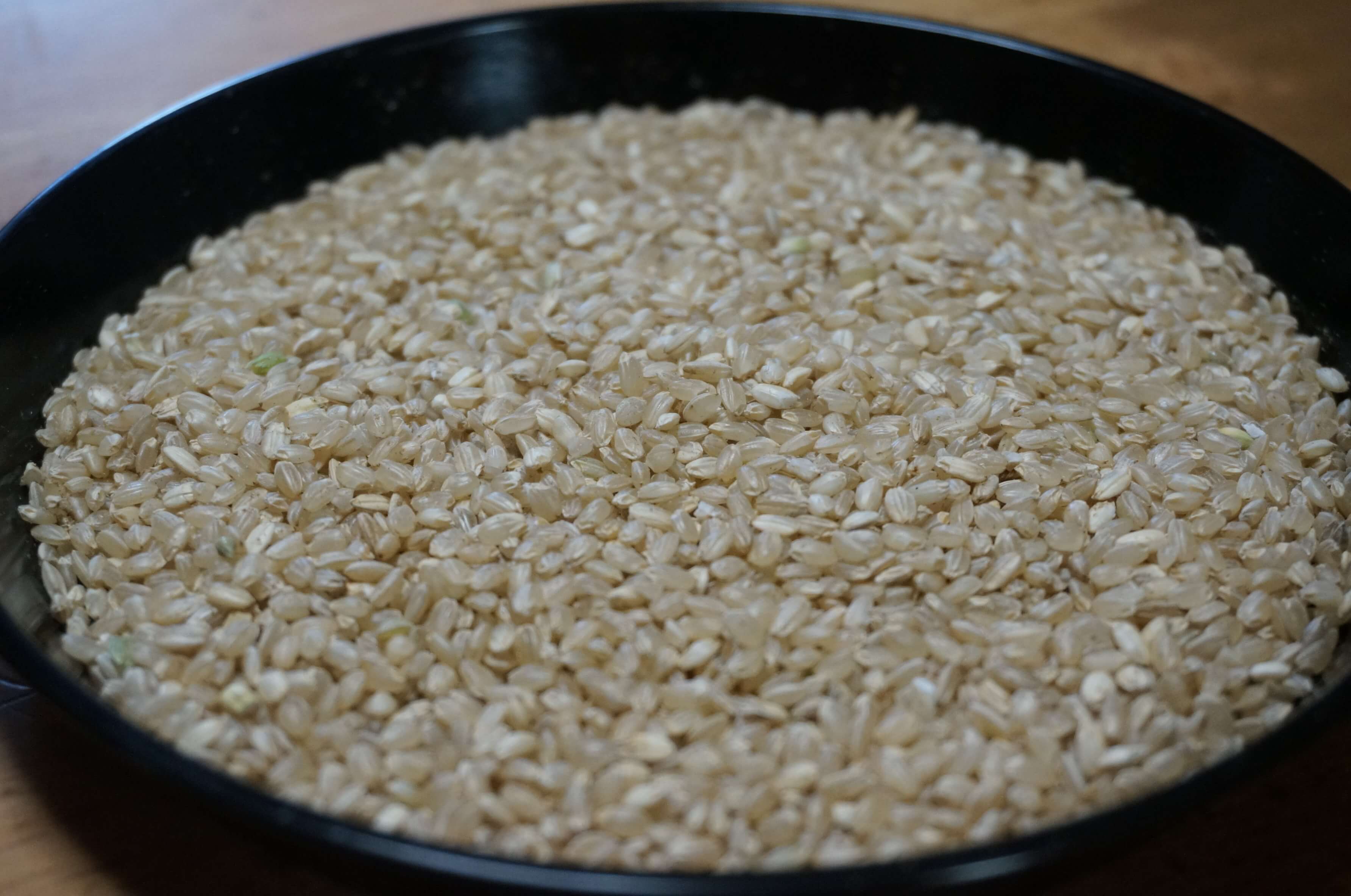 令和七年産 農薬不使用 無肥料 玄米10kg original