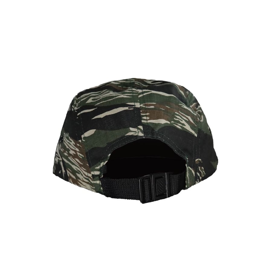 6135aa65a1027532c36e59b5