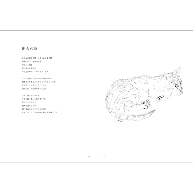 夜と猫 | BREWBOOKS オンラインショップ