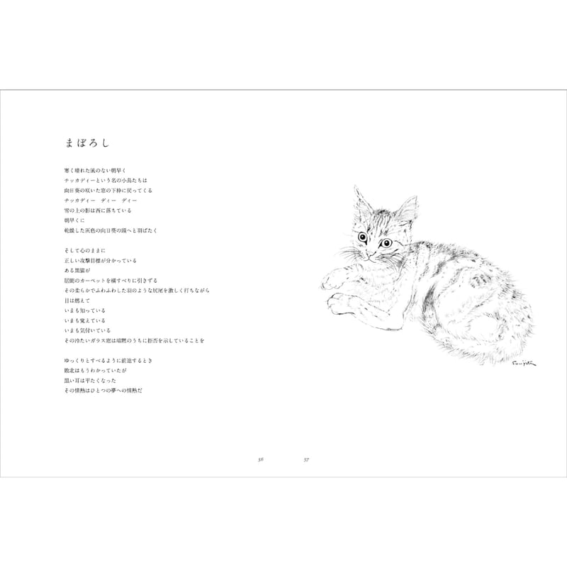夜と猫 | BREWBOOKS オンラインショップ