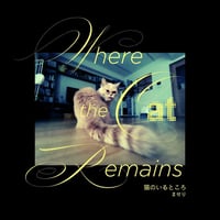 猫のいるところ