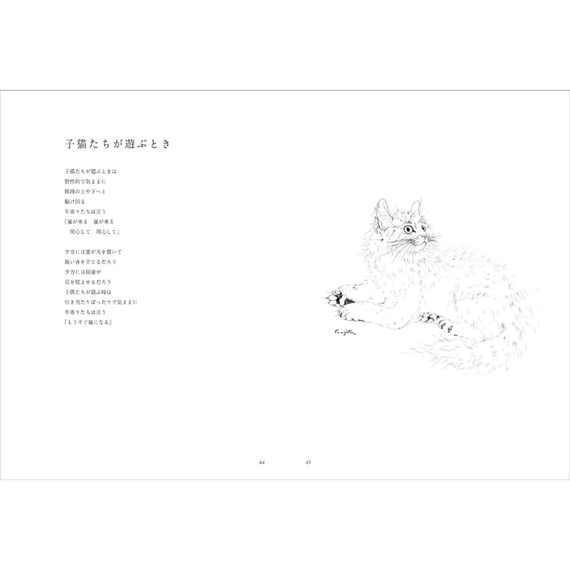 夜と猫 | BREWBOOKS オンラインショップ