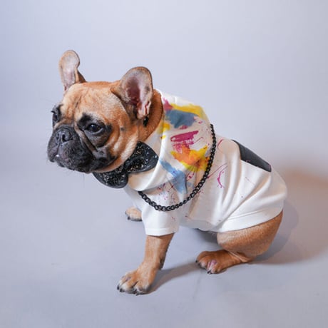 フレンチブルドッグと中型犬の犬服 ビビビ