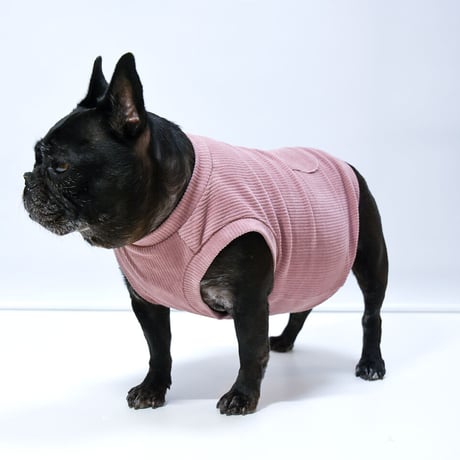 フレンチブルドッグと中型犬の犬服 ビビビ