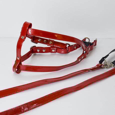 犬服・アクセサリー momochan_mama CATEGORY アクセサリー | フレンチブルドッグと中型犬の犬服 ビビビ