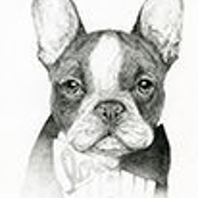 eveさんのイラスト原画「love」 | フレンチブルドッグと中型犬の犬服