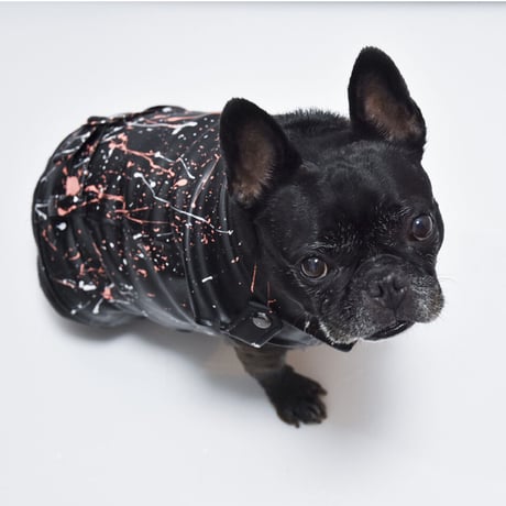 フレンチブルドッグと中型犬の犬服 ビビビ