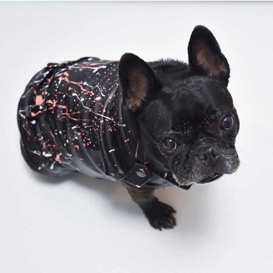 DOG ペイントジャケット ペインティングECOレザーJK（3色展開）×BDOGコラボ | フレンチ