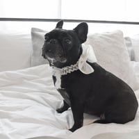 ［ViViVi］レースリボン