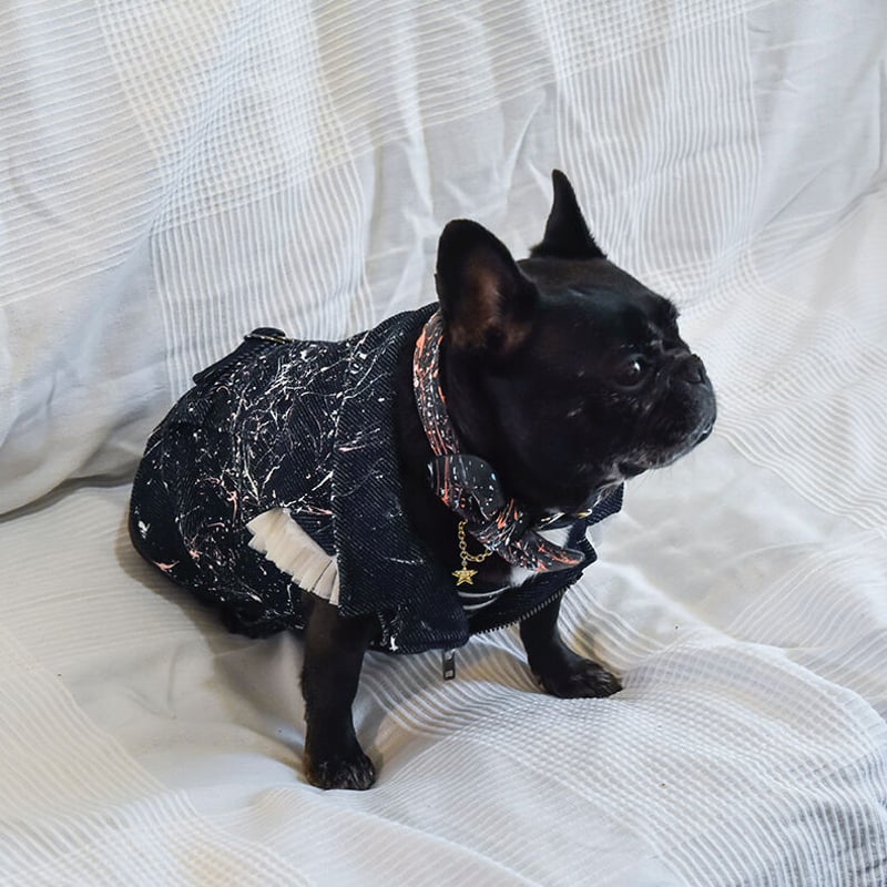 COOL! ペインティング デニムライダースジャケット | フレンチ