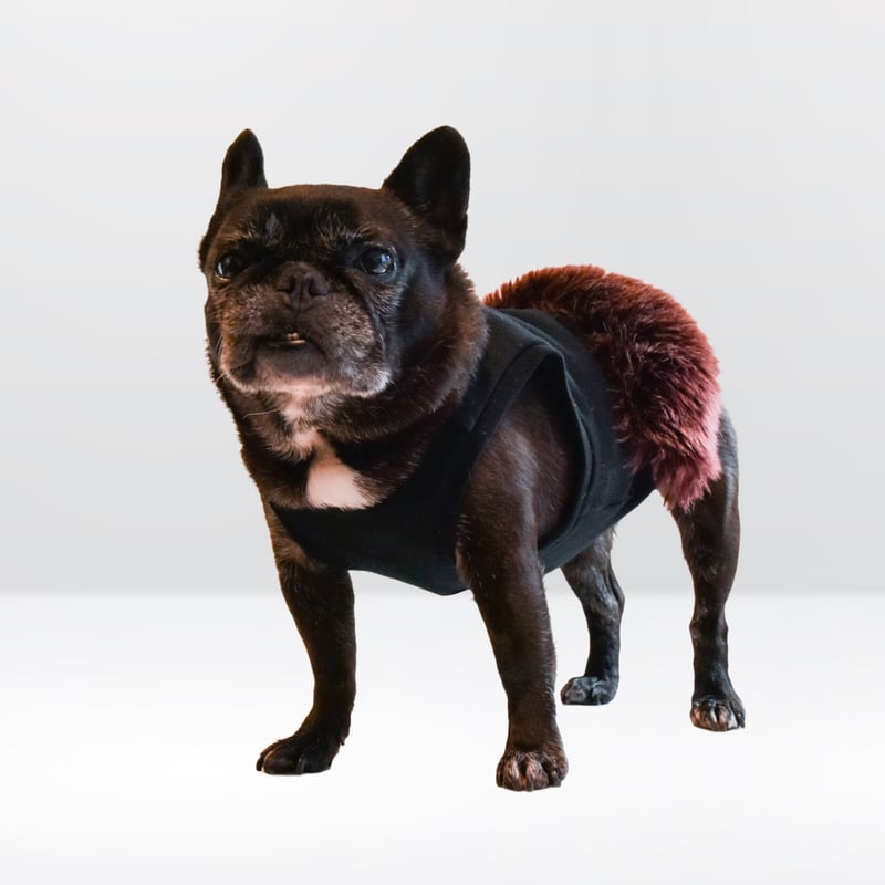 エコファー付きドレスタンク | フレンチブルドッグと中型犬の犬服 ビビビ