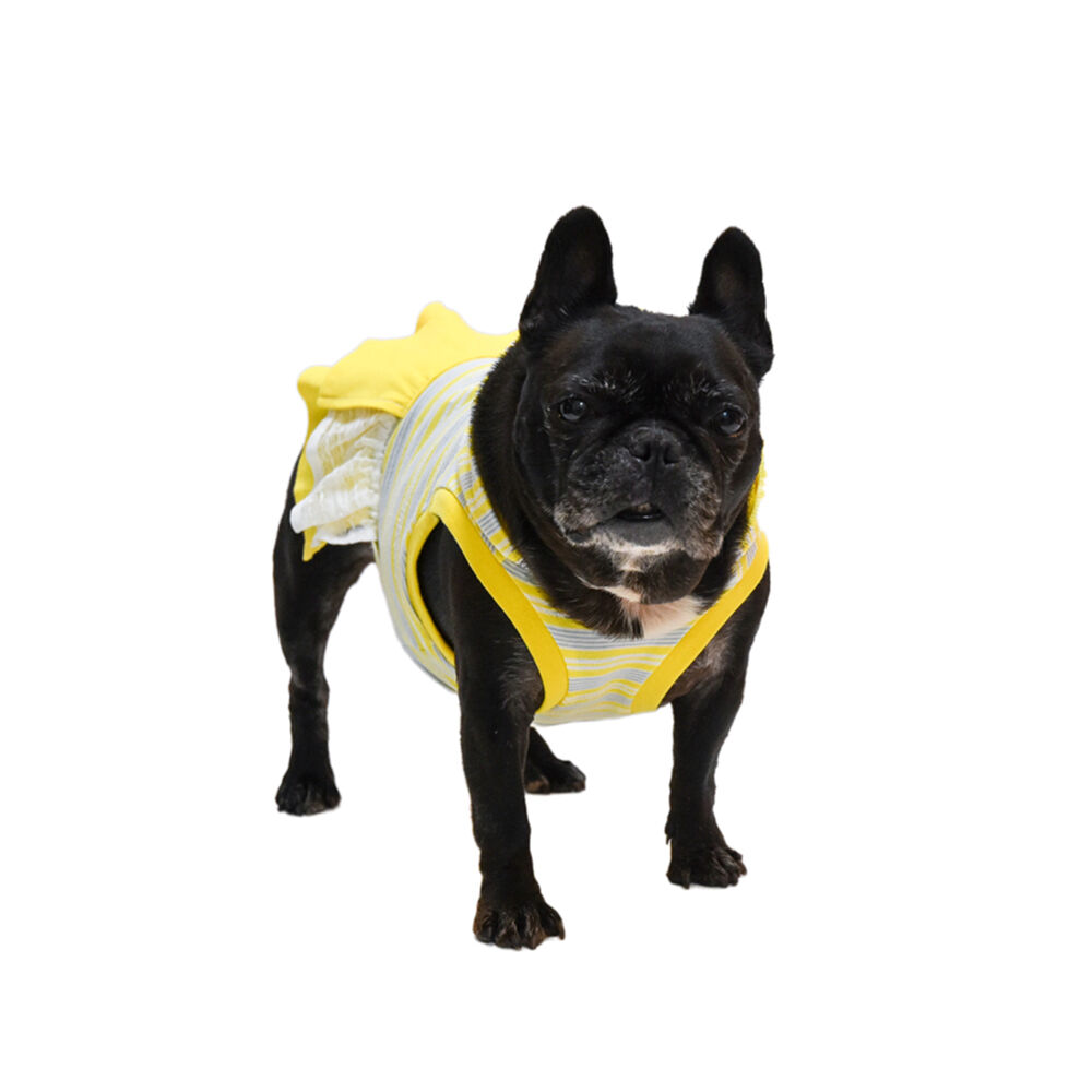 スカート付き！爽やかなイエローフーディー | フレンチブルドッグと