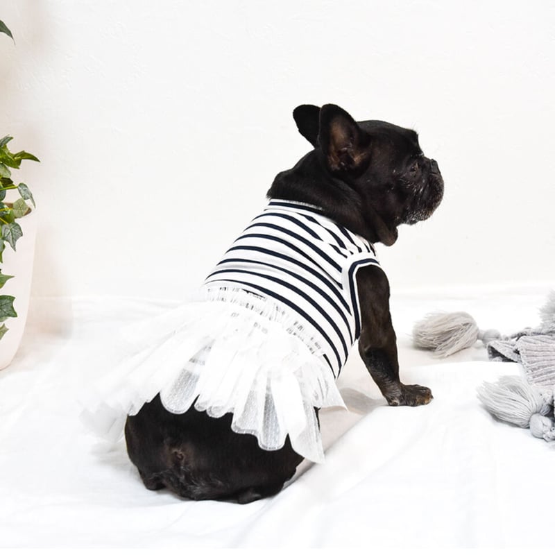 小型犬用 レーススカート付きマリンタンク | フレンチブルドッグと中型