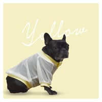 重ね着にも！オフショルダーメッシュカットソー