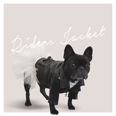 CATEGORY ジャケット | フレンチブルドッグと中型犬の犬服 ビビビ