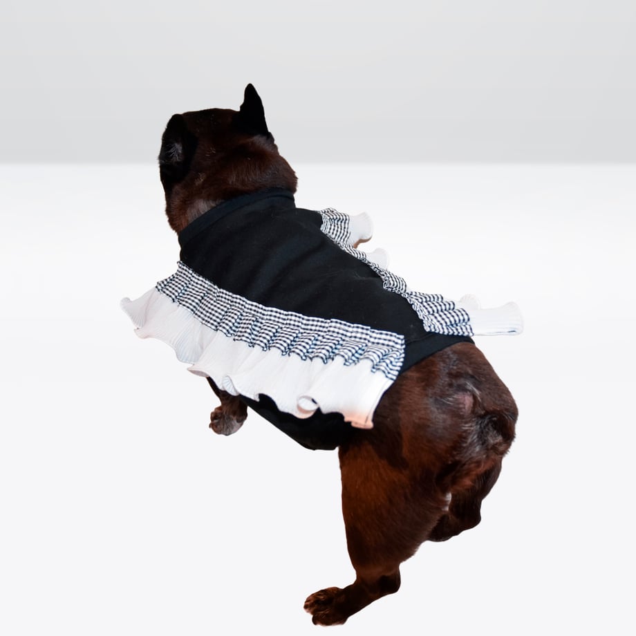 6708d3029d7c8c0734a56464
