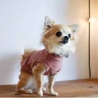 上品な美しさのコーデュロイタンク　3色展開／小型犬用