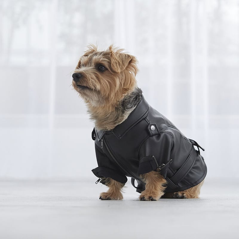 超クール！ライダースジャケット（長袖） | フレンチブルドッグと中型