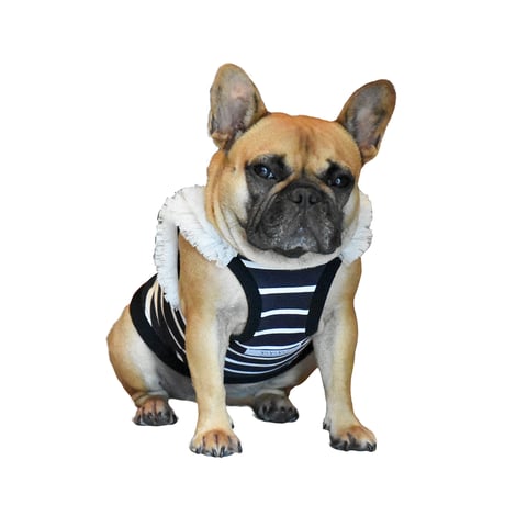 CATEGORY タンクトップ | フレンチブルドッグと中型犬の犬服 ビビビ