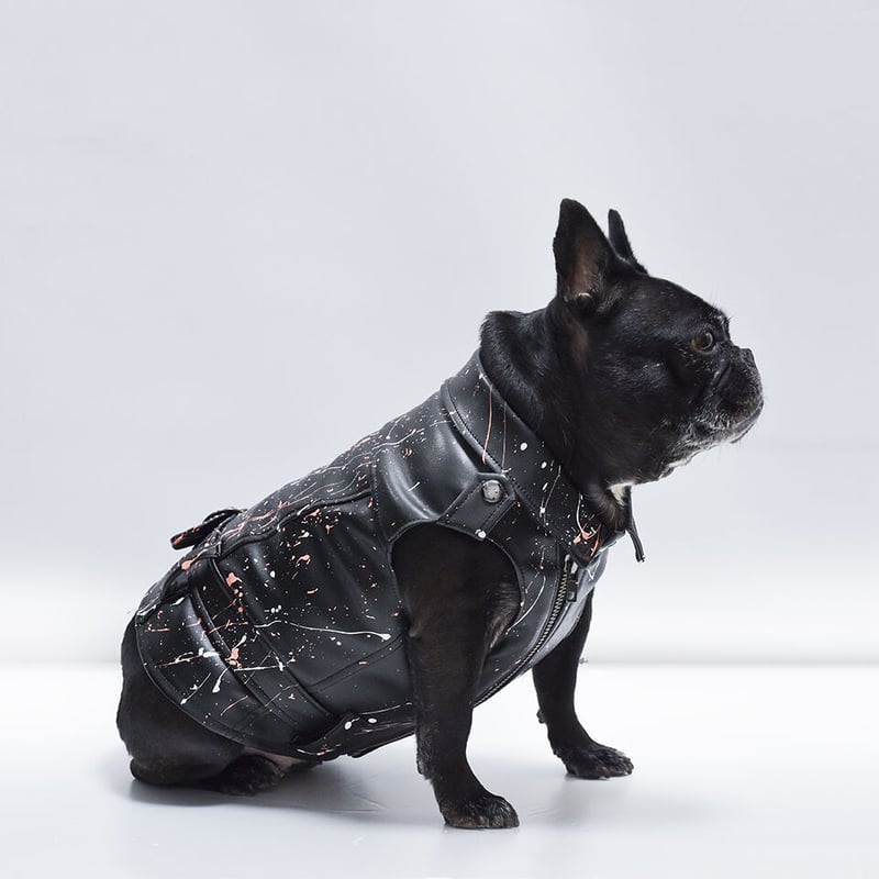 ペインティングECOレザーJK（3色展開）×BDOGコラボ | フレンチ