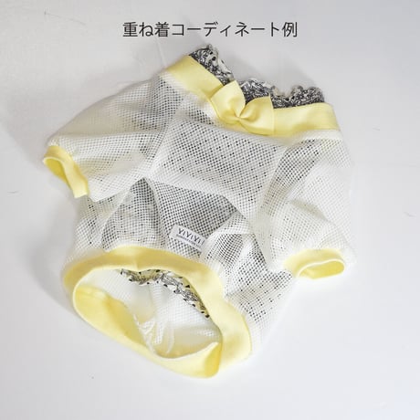 重ね着にも！オフショルダーメッシュカットソー